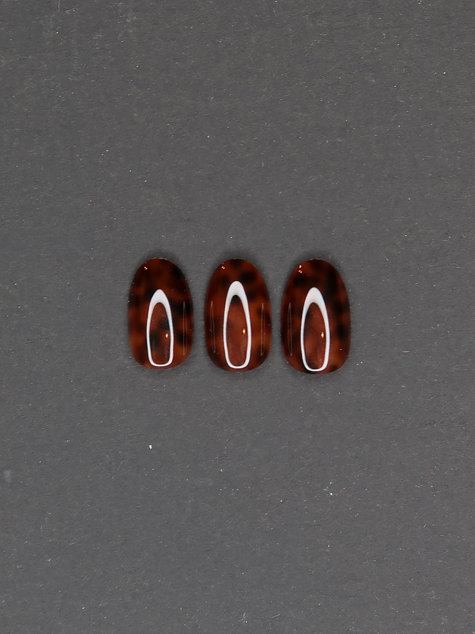 Tortoise shell