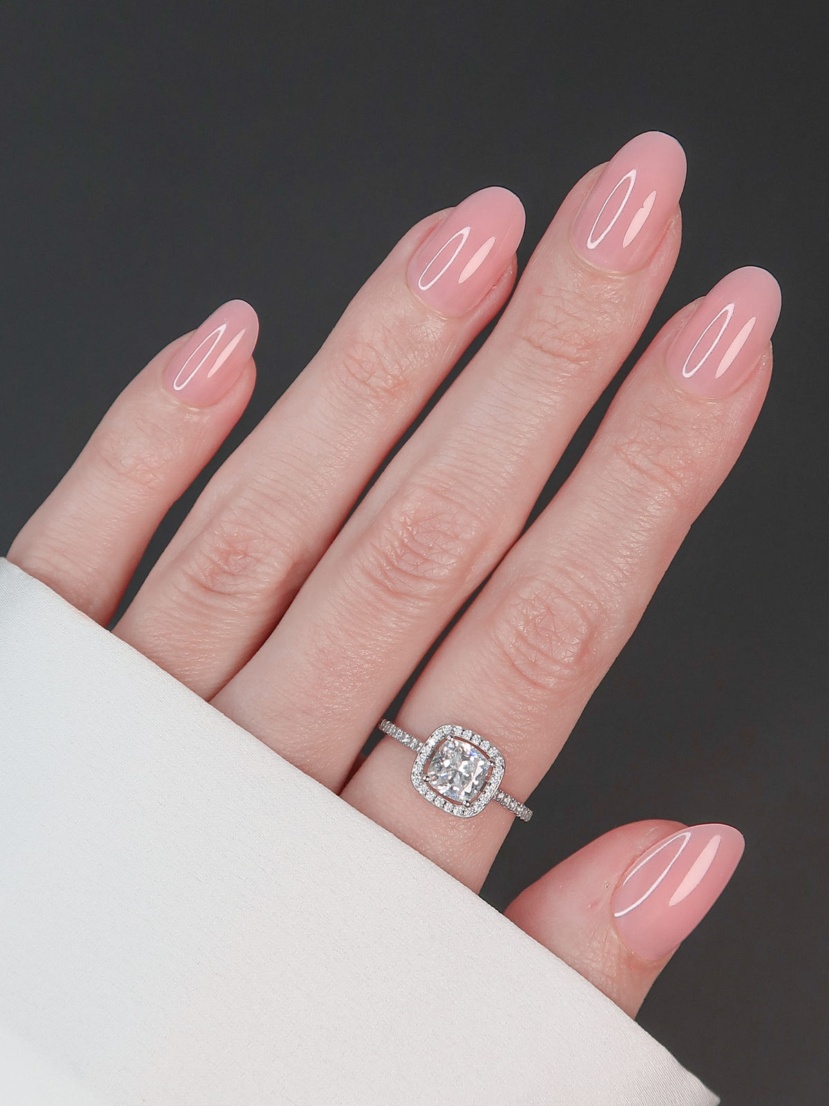 Rose absolue