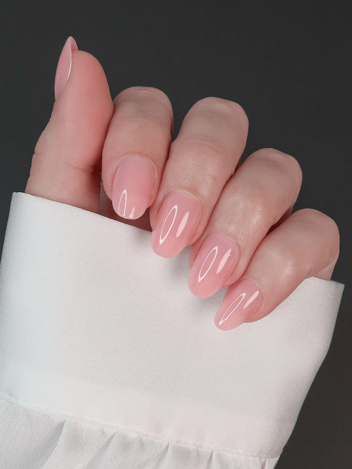 Rose absolue