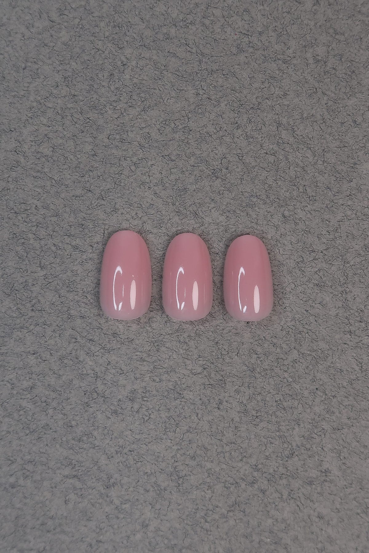 Rose absolue