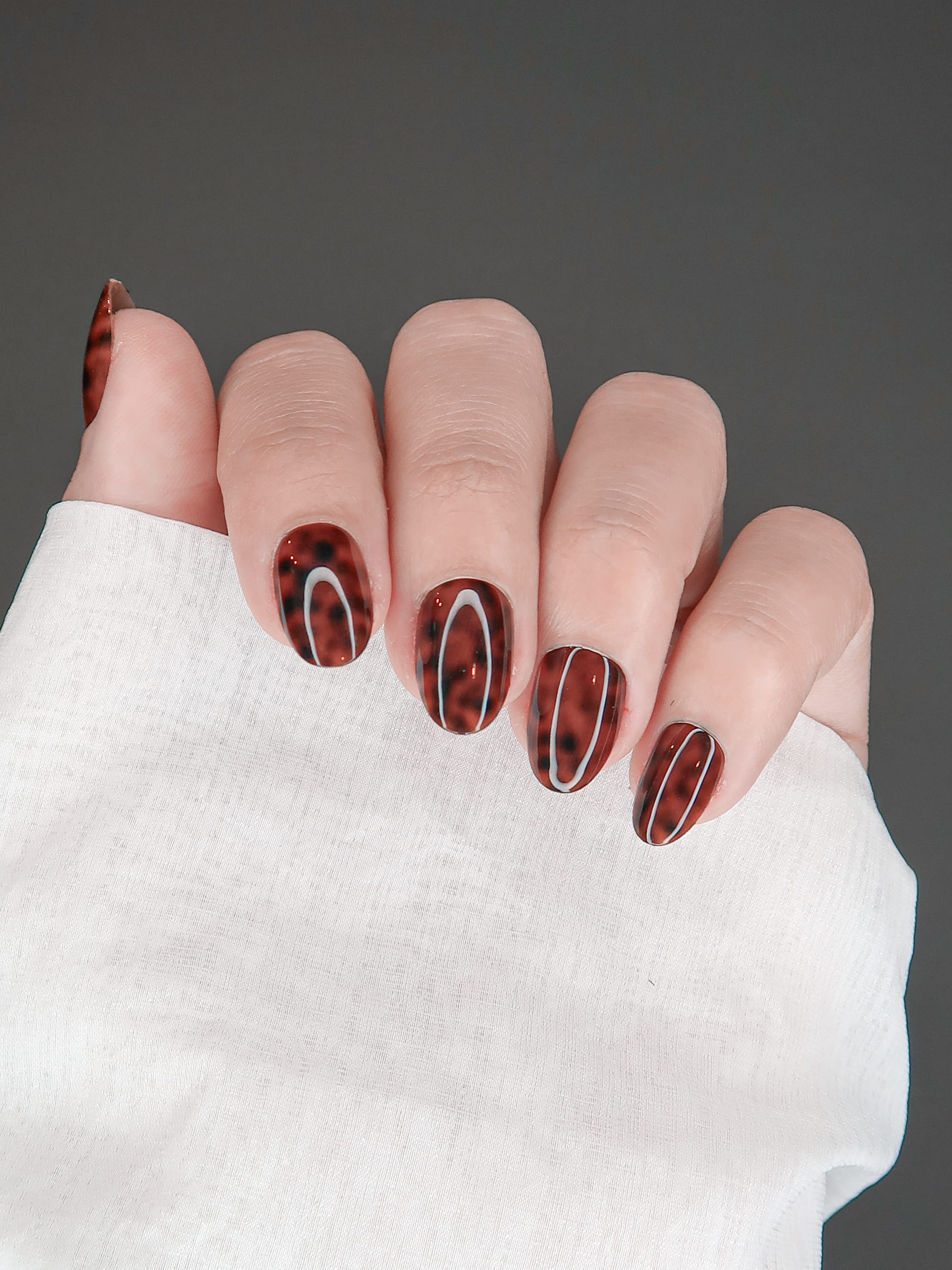 Tortoise shell