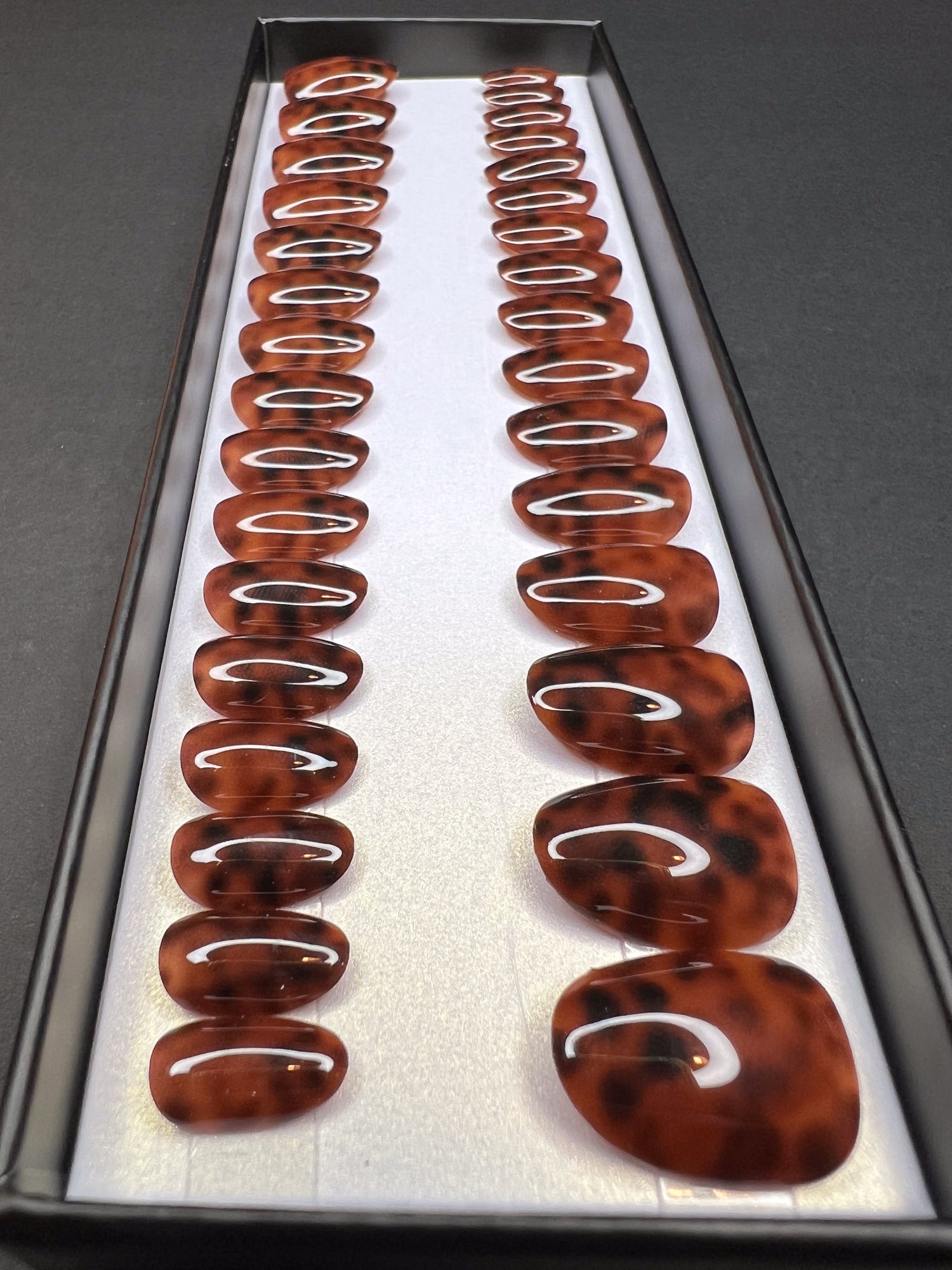Tortoise shell