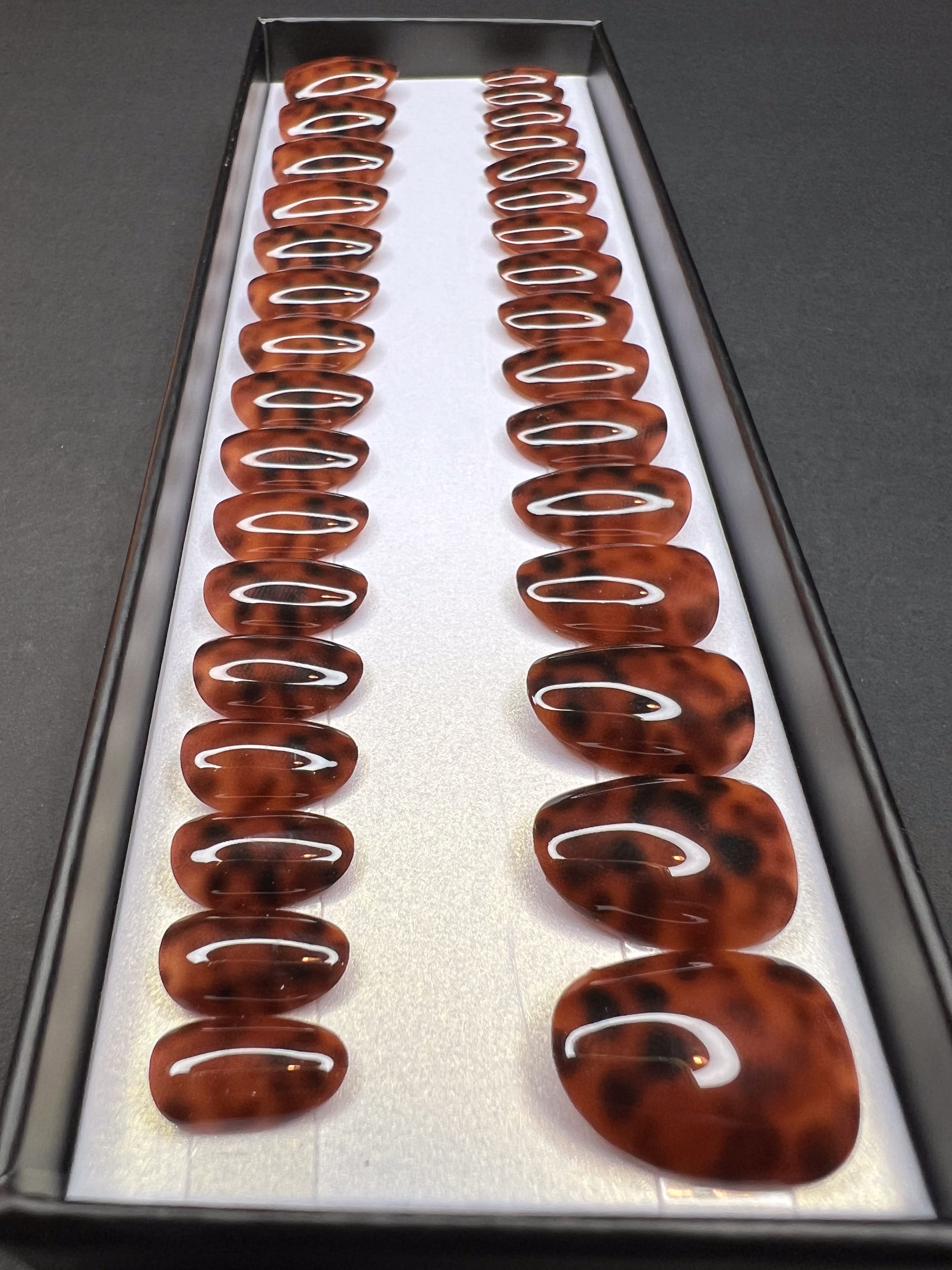 Tortoise shell